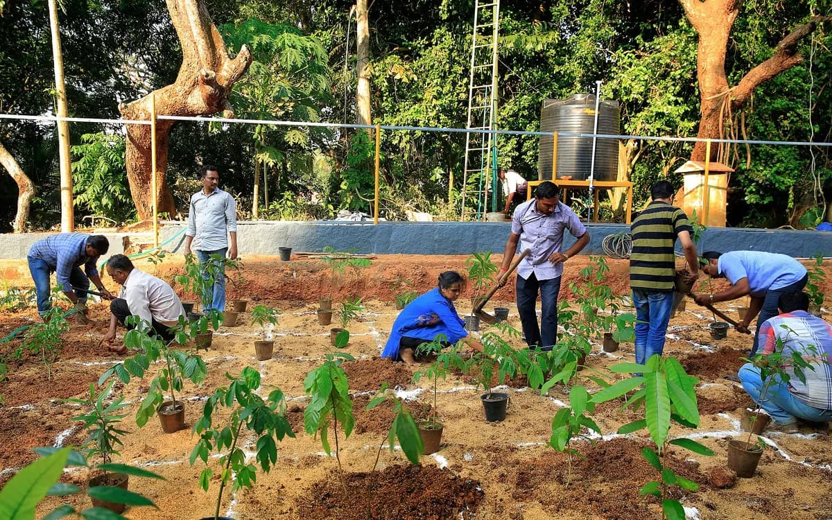 A group of people planting tree saplings in prepared ground
